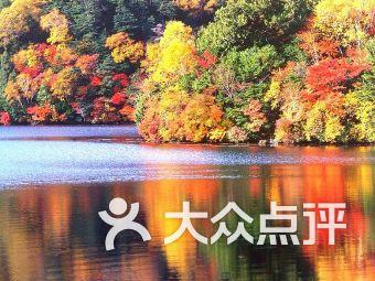 无主之地传说