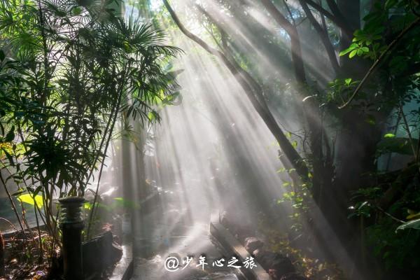 卡通小车找不同