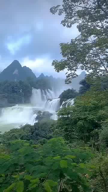 欲知如意日，且待菊花辉是什么意思？