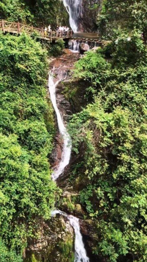 上仙有毒